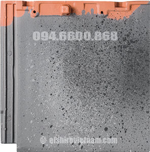 ngói nhập khẩu nhật eishiro PP40 Nordic Gray